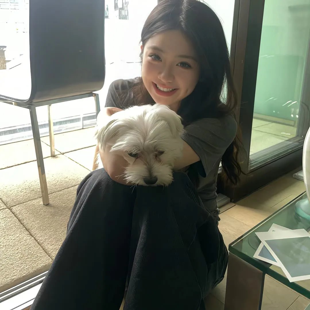 三只小猪